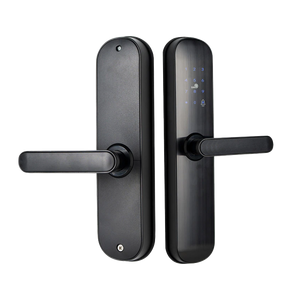 Смарт замок TTLock Basic