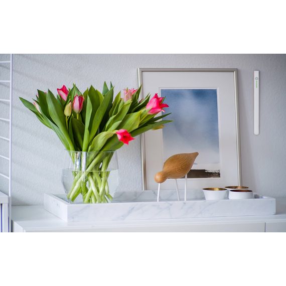 Датчик температуры и освещенности Z-Wave Plus Sensative STRIPS Comfort - SENECOMFORT, изображение 2