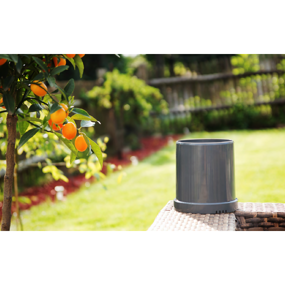 Датчик дождя Z-Wave Popp Z-Rain — POPE700168, изображение 4