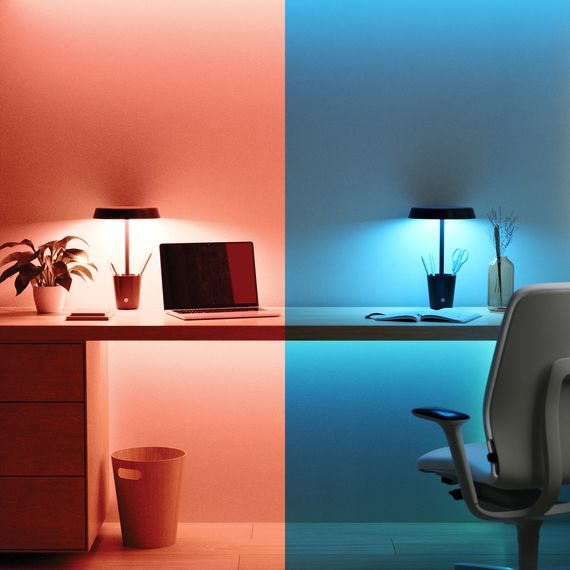 Умная настольная лампа Nanoleaf Umbra Cup, RGBW, 2700-6500K, 320 лм, Apple Homekit, Matter, изображение 5